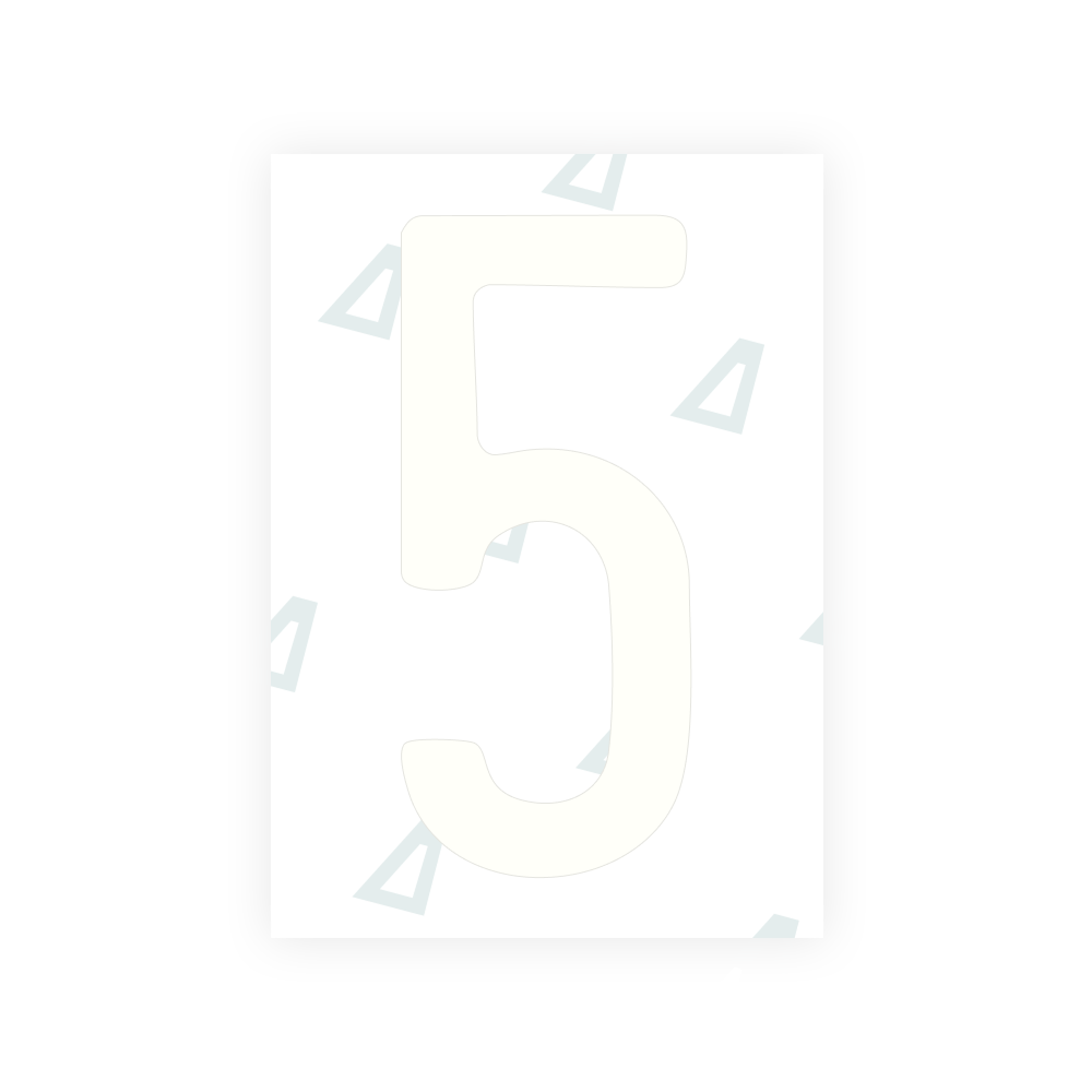 Alite Nanofilm for US (Maine) license plates - Symbol "5"