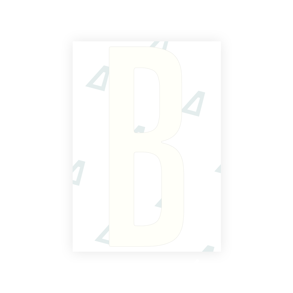 Alite Nanofilm for US (Washington DC) license plates - Symbol "B"