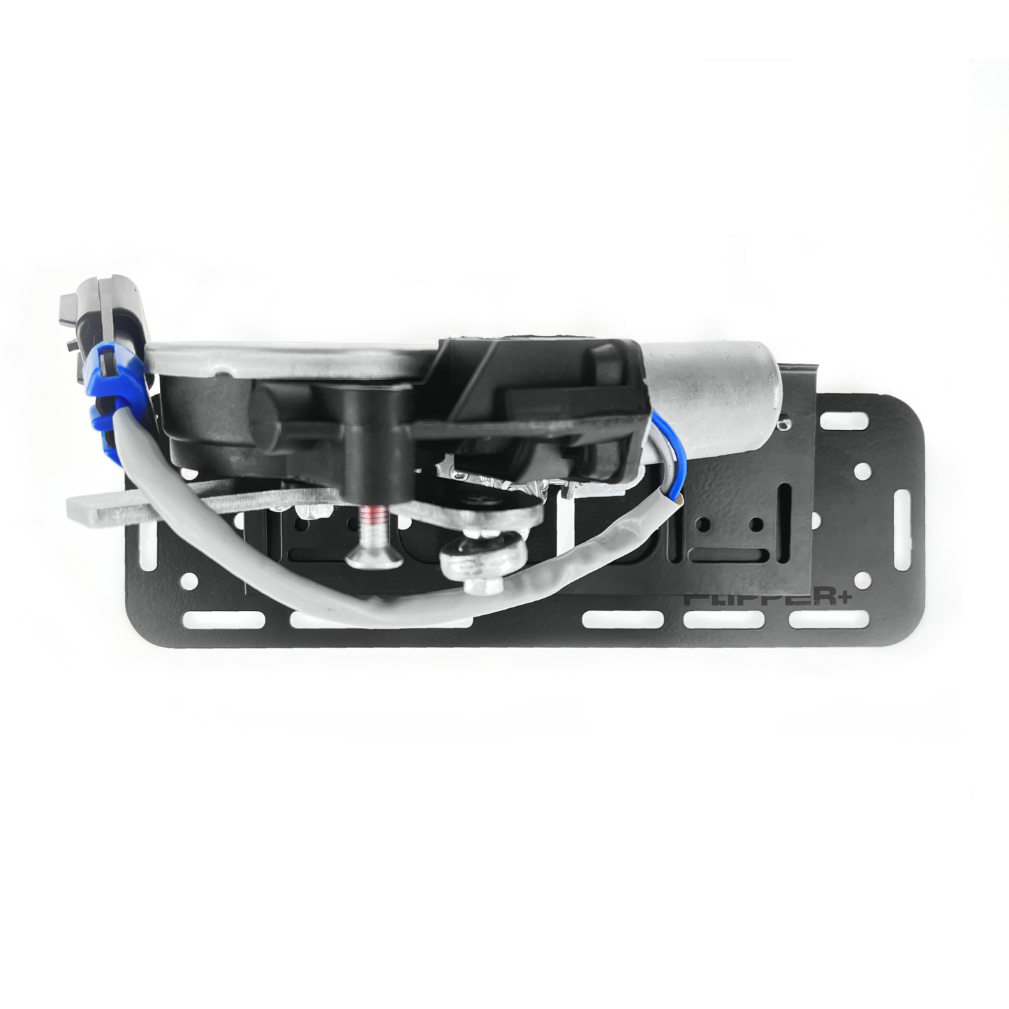 hidden license plate