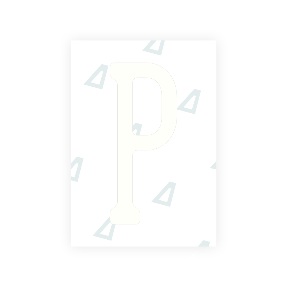 Alite Nanofilm for US (Pennsylvania 2025) license plates - Symbol "P"