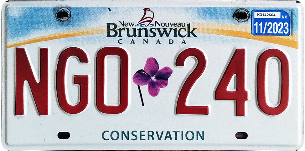 New Brunswick 2009