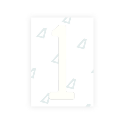 Alite Nanofilm for US (Florida 2019) license plates - Symbol "1" - Alite