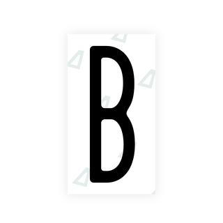 Alite Nanofilm for US (New York 2020) license plates - Symbol "B" - Alite