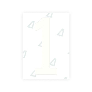 Alite Nanofilm for US (Nevada) Moto license plates - Symbol "1" - Alite