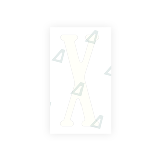 Alite Nanofilm for US (Virginia) license plates - Symbol "X" - Alite