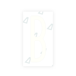 Alite Nanofilm for US (New York 2020) license plates - Symbol "B" - Alite