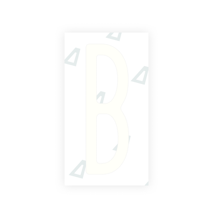 Alite Nanofilm for US (New York 2020) license plates - Symbol "B" - Alite