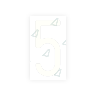 Alite Nanofilm for US (Massachusetts) license plates - Symbol "5" - Alite