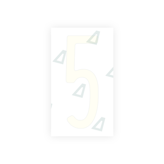 Alite Nanofilm for US (Pennsylvania) license plates - Symbol "5" - Alite