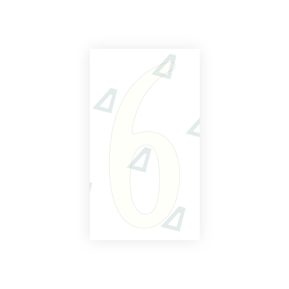 Alite Nanofilm for US (Virginia) license plates - Symbol "6" - Alite