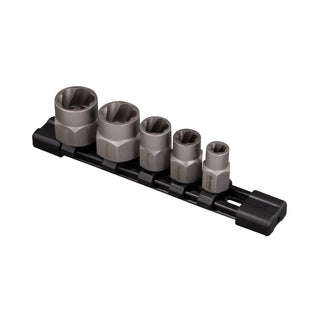 Duralast Extractor Set with Rail 5 Piece at AutoZone