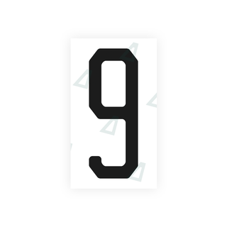 Alite Nanofilm for US (Michigan) license plates - Symbol "9" - Alite
