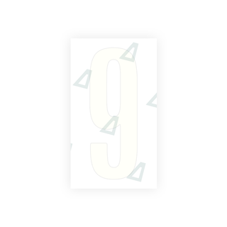 Alite Nanofilm for US (Ohio 2021) license plates - Symbol "1"0 - Alite