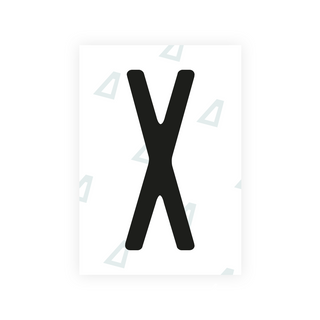 Alite Nanofilm for US (Alaska 2023) license plates - Symbol "X"