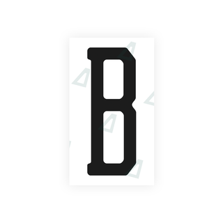 Alite Nanofilm for US (Michigan) license plates - Symbol "B" - Alite