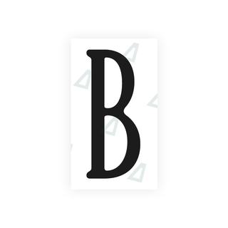 Alite Nanofilm for US (Virginia) license plates - Symbol "B" - Alite