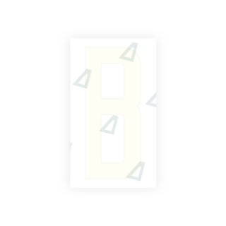 Alite Nanofilm for US (New Jersey) Moto license plates - Symbol "B" - Alite