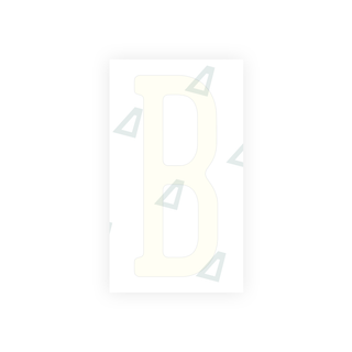 Alite Nanofilm for US (Pennsylvania) license plates - Symbol "B" - Alite
