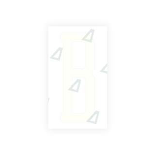 Alite Nanofilm for US (Michigan) license plates - Symbol "B" - Alite