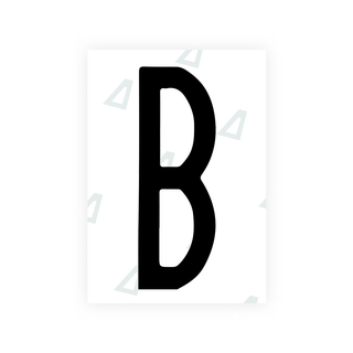 Alite Nanofilm for US (New York 2020 - Flat) license plates - Symbol "B" - Alite