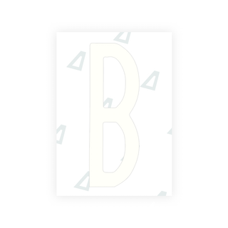 Alite Nanofilm for US (New York 2020 - Flat) license plates - Symbol "B" - Alite