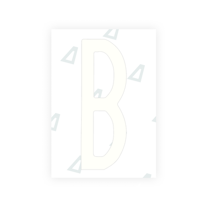 Alite Nanofilm for US (New York 2020 - Flat) license plates - Symbol "B" - Alite