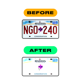 Alite Nanofilm for CA (New Brunswick) license plates - Symbol "X" - Alite