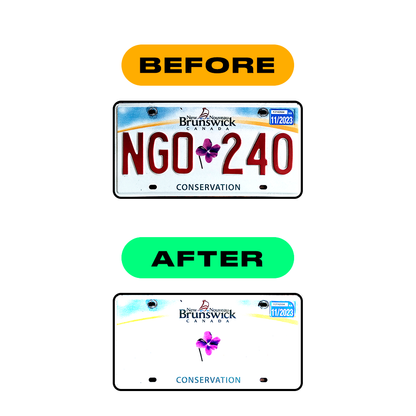 Alite Nanofilm for CA (New Brunswick) license plates - Symbol "X" - Alite