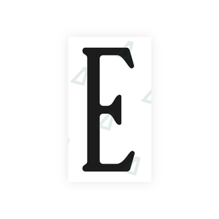 Alite Nanofilm for US (Virginia) license plates - Symbol "E" - Alite