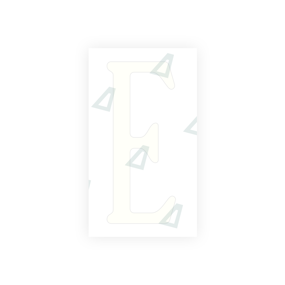 Alite Nanofilm for US (Virginia) license plates - Symbol "E" - Alite
