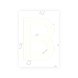 Alite Nanofilm for Estonia number plates - Symbol "B"