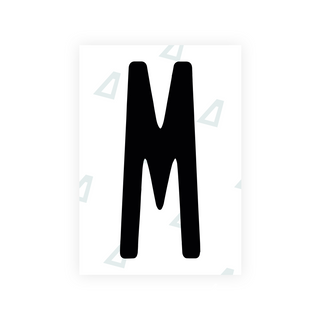 Alite Nanofilm for US (Florida 2019) license plates - Symbol "M"