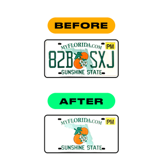 Alite Nanofilm for US (Florida 2019) license plates - Symbol "Z" - Alite
