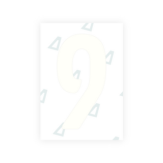 Alite Nanofilm for Georgia number plates - Symbol "9"