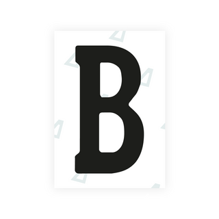 Alite Nanofilm for Georgia number plates - Symbol "B"