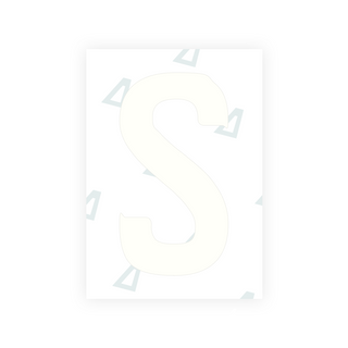 Alite Nanofilm for Georgia number plates - Symbol "S"