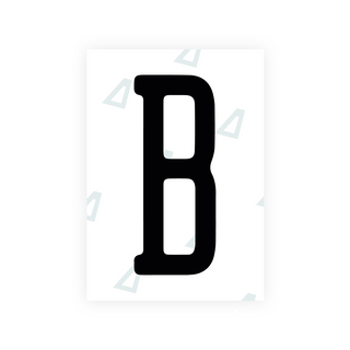 Alite Nanofilm for US (Illinois 2006 - Round) license plates - Symbol "B"