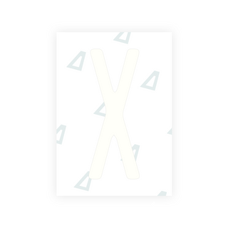 Alite Nanofilm for US (Illinois 2006 - Round) license plates - Symbol "X"