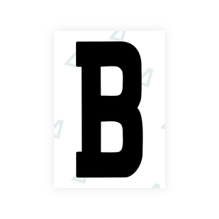 Alite Nanofilm for Ireland license plates - Symbol "B"