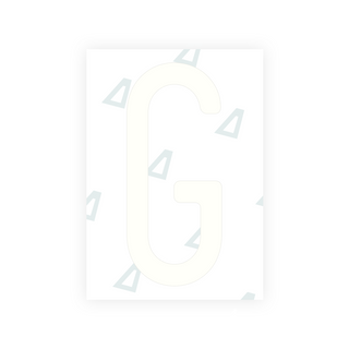 Alite Nanofilm for US (Missouri) license plates - Symbol "G"