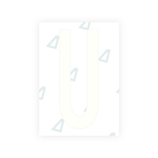 Alite Nanofilm for US (Nebraska 2017) license plates - Symbol "T"
