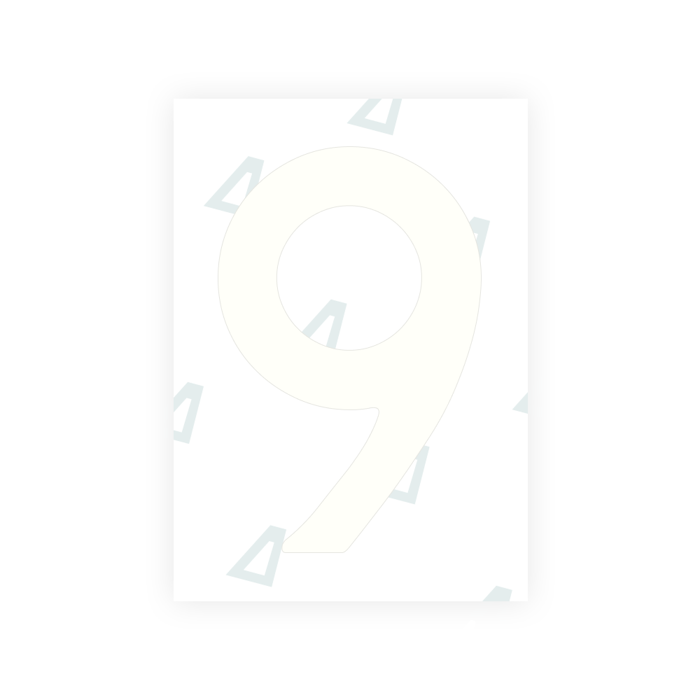 Alite Nanofilm for Netherlands license plates - Symbol "9"