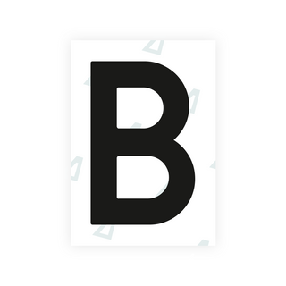 Alite Nanofilm for Netherlands license plates - Symbol "B"