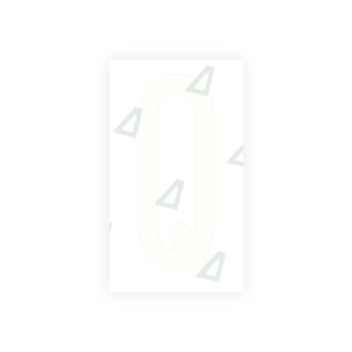Alite Nanofilm for US (Washington State) license plates - Symbol "Q" - Alite