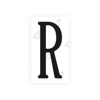 Alite Nanofilm for US (Virginia) license plates - Symbol "R" - Alite