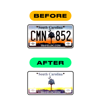 Alite Nanofilm for US (South Carolina 2008-2016) license plates - Symbol "F" - Alite