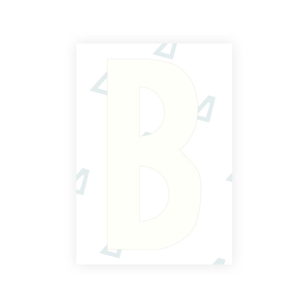 Alite Nanofilm for US (South Dakota) license plates - Symbol "B"