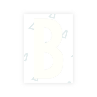 Alite Nanofilm for US (South Dakota) license plates - Symbol "B"