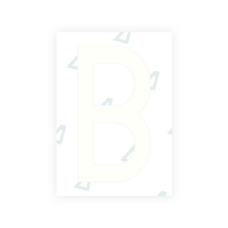 Alite Nanofilm for Sweden number plates - Symbol "B"