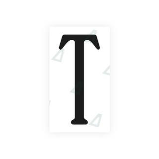 Alite Nanofilm for US (Virginia) license plates - Symbol "T" - Alite